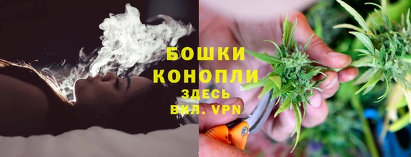 2c-b Бородино