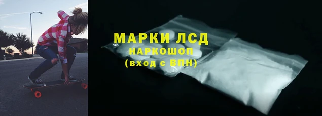 2c-b Бородино