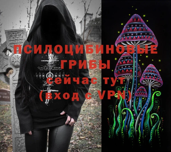 2c-b Бородино