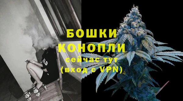 2c-b Бородино