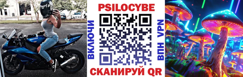 Псилоцибиновые грибы GOLDEN TEACHER  hydra   Нижний Тагил 